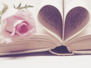 love story valentine s day book 3060241