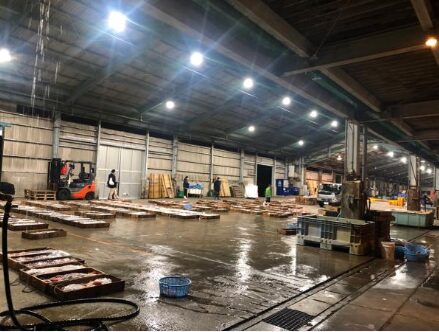 知柄漁港(ロケ地)